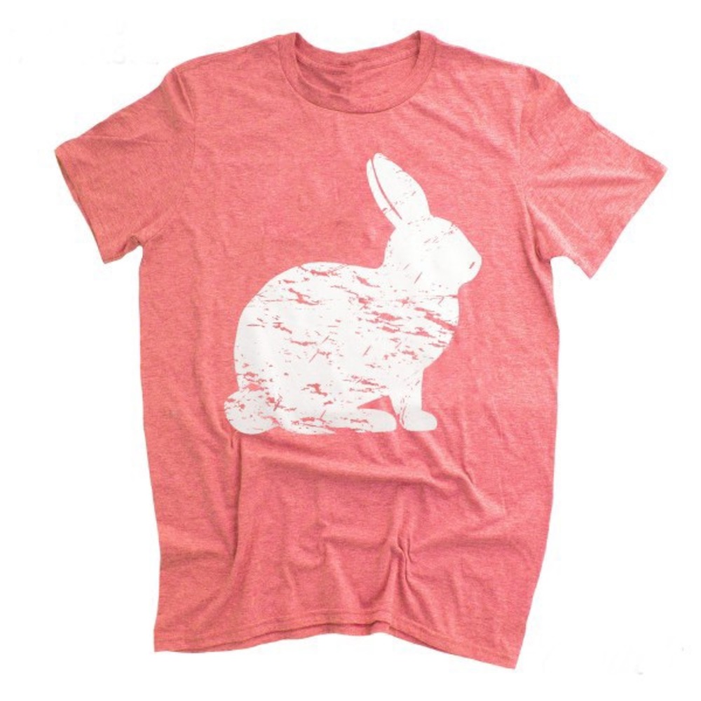 4 PACK Short sleeve distressed Easter 🐣 bunny tee